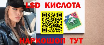 твердый Будённовск