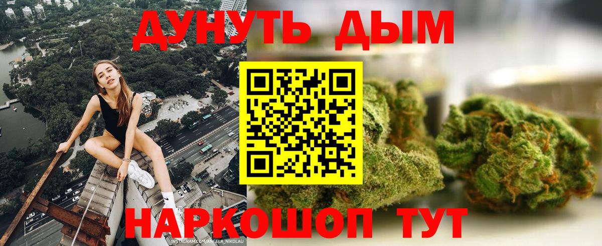 Пугачёв  Бошки Шишки конопля  Вход с VPN  Канабис планчик  Каннабис план 